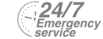 24/7 Emergency Service Pest Control in Thornton Heath, Broad Green, CR7. Call Now! 020 8166 9746